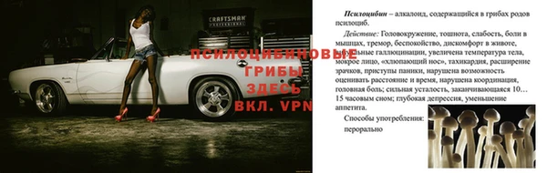 прущий лед Балабаново