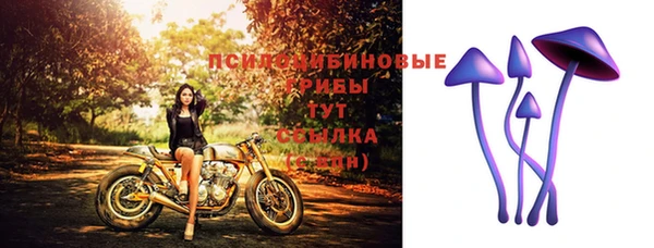бутик Пересвет
